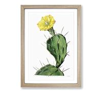 Big Box Art Flowering Prickly Pear Cactus Framed Wall Art Picture Print Ready to Hang, Oak A2 (62 x 45 cm)
