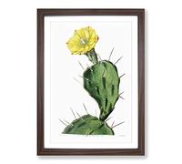 Big Box Art Flowering Prickly Pear Cactus Framed Wall Art Picture Print Ready to Hang, Walnut A2 (62 x 45 cm)