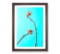 Big Box Art Flowers in Nigeria in Abstract Framed Wall Art Picture Print Ready to Hang, Walnut A2 (62 x 45 cm)
