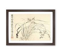 Big Box Art Flowers Vol.4 by Wang Shishen Framed Wall Art Picture Print Ready to Hang, Walnut A2 (62 x 45 cm)