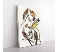 Big Box Art Flycatcher Birds by John James Audubon Canvas Wall Art Print Ready to Hang Picture, 76 x 50 cm (30 x 20 Inch), White, Grey, Green, Brown, Cream