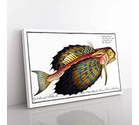 Big Box Art Flying-Fish by M.E. Bloch Canvas Wall Art Print Ready to Hang Picture, 76 x 50 cm (30 x 20 Inch), White, Black, Cream, Blue