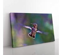 Big Box Art Flying Hummingbird Bird (3) Canvas Wall Art Print Ready to Hang Picture, 76 x 50 cm (30 x 20 Inch), Multi-Coloured