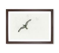 Big Box Art Flying Seagull in Abstract Framed Wall Art Picture Print Ready to Hang, Walnut A2 (62 x 45 cm)