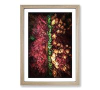 Big Box Art Forest in Everingham Yorkshire Framed Wall Art Picture Print Ready to Hang, Oak A2 (62 x 45 cm)