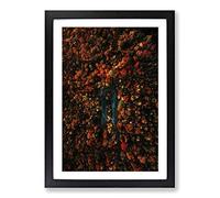 Big Box Art Forest Road in Austria Framed Wall Art Picture Print Ready to Hang, Black A2 (62 x 45 cm)