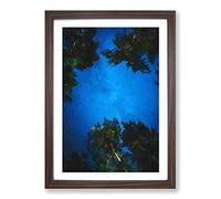 Big Box Art Forest Stars in Germany in Abstract Framed Wall Art Picture Print Ready to Hang, Walnut A2 (62 x 45 cm)
