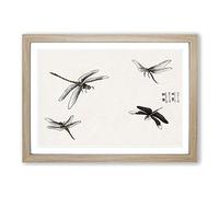 Big Box Art Four Dragonflies by Morimoto Toko Framed Wall Art Picture Print Ready to Hang, Oak A2 (62 x 45 cm)