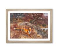 Big Box Art Fox and Hunting Dogs Vol.3 by Bruno Liljefors Framed Wall Art Picture Print Ready to Hang, Oak A2 (62 x 45 cm)