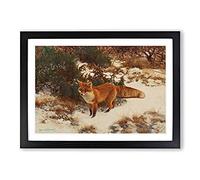 Big Box Art Fox in The Snow Vol.9 by Bruno Liljefors Framed Wall Art Picture Print Ready to Hang, Black A2 (62 x 45 cm)
