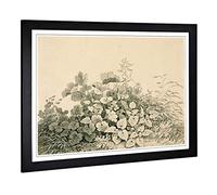 Big Box Art Framed Print of Adrian Zingg Floral Design | Wall Art Picture | Home Decor for Kitchen, Living, Dining Room, Lounge, Bedroom, Hallway, Office, Black, A2 / 24.5x18 Inch / 62x45cm