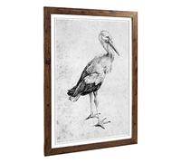 Big Box Art Framed Print of Albrecht Durer Stork Design | Wall Art Picture | Home Decor for Kitchen, Living, Dining Room, Lounge, Bedroom, Hallway, Office, Walnut, A2 / 24.5x18 Inch / 62x45cm