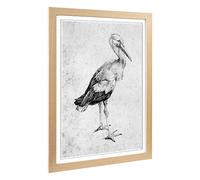 Big Box Art Framed Print of Albrecht Durer Stork Design | Wall Art Picture | Home Decor for Kitchen, Living, Dining Room, Lounge, Bedroom, Hallway, Office, Oak, A2 / 24.5x18 Inch / 62x45cm