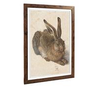 Big Box Art Framed Print of Albrecht Durer The Hare Design | Wall Art Picture | Home Decor for Kitchen, Living, Dining Room, Bedroom, Hallway, Office, Walnut, A2 / 24.5x18 Inch / 62x45cm