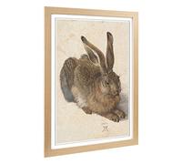 Big Box Art Framed Print of Albrecht Durer The Hare Design | Wall Art Picture | Home Decor for Kitchen, Living, Dining Room, Bedroom, Hallway, Office, Oak, A2 / 24.5x18 Inch / 62x45cm