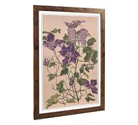 Big Box Art Framed Print of Alice Bailly Large Clematis Flower Design | Wall Art Picture | Home Decor for Kitchen, Living Room, Bedroom, Hallway, Walnut, A2 / 24.5x18 Inch / 62x45cm