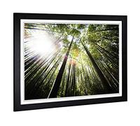 Big Box Art Framed Print of Bamboo Forest Design | Wall Art Picture | Home Decor for Kitchen, Living, Dining Room, Lounge, Bedroom, Hallway, Office, Black, A2 / 24.5x18 Inch / 62x45cm