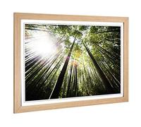 Big Box Art Framed Print of Bamboo Forest Design | Wall Art Picture | Home Decor for Kitchen, Living, Dining Room, Lounge, Bedroom, Hallway, Office, Oak, A2 / 24.5x18 Inch / 62x45cm
