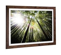 Big Box Art Framed Print of Bamboo Forest Design | Wall Art Picture | Home Decor for Kitchen, Living, Dining Room, Lounge, Bedroom, Hallway, Office, Walnut, A2 / 24.5x18 Inch / 62x45cm