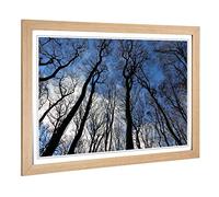 Big Box Art Framed Print of Beautiful Forest Woodland (5) Design | Wall Art Picture | Home Decor for Kitchen, Living, Dining Room, Bedroom, Hallway, Office, Oak, A2 / 24.5x18 Inch / 62x45cm