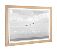 Big Box Art Framed Print of Bird Flying in The Sky Design | Wall Art Picture | Home Decor for Kitchen, Living, Dining Room, Lounge, Bedroom, Hallway, Office, Oak, A2 / 24.5x18 Inch / 62x45cm