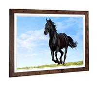 Big Box Art Framed Print of Black Horse Running Design | Wall Art Picture | Home Decor for Kitchen, Living, Dining Room, Lounge, Bedroom, Hallway, Office, Walnut, A2 / 24.5x18 Inch / 62x45cm