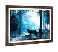 Big Box Art Framed Print of Black Wolf in Blue Forest Design | Wall Art Picture | Home Decor for Kitchen, Living, Dining Room, Bedroom, Hallway, Office, Walnut, A2 / 24.5x18 Inch / 62x45cm