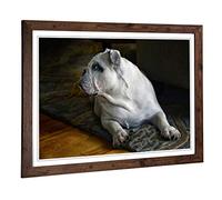 Big Box Art Framed Print of British English Bulldog Dog Design | Wall Art Picture | Home Decor for Kitchen, Living, Dining Room, Bedroom, Hallway, Office, Walnut, A2 / 24.5x18 Inch / 62x45cm