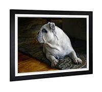 Big Box Art Framed Print of British English Bulldog Dog Design | Wall Art Picture | Home Decor for Kitchen, Living, Dining Room, Bedroom, Hallway, Office, Black, A2 / 24.5x18 Inch / 62x45cm
