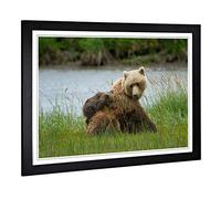 Big Box Art Framed Print of Brown Bear with Cubs (1) Design | Wall Art Picture | Home Decor for Kitchen, Living, Dining Room, Bedroom, Hallway, Office, Black, A2 / 24.5x18 Inch / 62x45cm