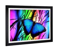 Big Box Art Framed Print of Butterfly 5 Design | Wall Art Picture | Home Decor for Kitchen, Living, Dining Room, Lounge, Bedroom, Hallway, Office, Black, A2 / 24.5x18 Inch / 62x45cm