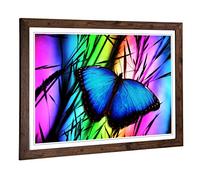 Big Box Art Framed Print of Butterfly 5 Design | Wall Art Picture | Home Decor for Kitchen, Living, Dining Room, Lounge, Bedroom, Hallway, Office, Walnut, A2 / 24.5x18 Inch / 62x45cm