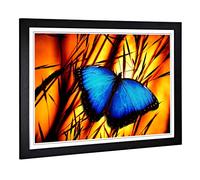 Big Box Art Framed Print of Butterfly 6 Design | Wall Art Picture | Home Decor for Kitchen, Living, Dining Room, Lounge, Bedroom, Hallway, Office, Black, A2 / 24.5x18 Inch / 62x45cm