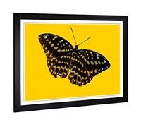 Big Box Art Framed Print of Butterfly 7 Design | Wall Art Picture | Home Decor for Kitchen, Living, Dining Room, Lounge, Bedroom, Hallway, Office, Black, A2 / 24.5x18 Inch / 62x45cm
