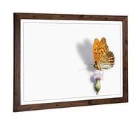 Big Box Art Framed Print of Butterfly and Thistle Design | Wall Art Picture | Home Decor for Kitchen, Living, Dining Room, Lounge, Bedroom, Hallway, Office, Walnut, A2 / 24.5x18 Inch / 62x45cm