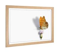 Big Box Art Framed Print of Butterfly and Thistle Design | Wall Art Picture | Home Decor for Kitchen, Living, Dining Room, Lounge, Bedroom, Hallway, Office, Oak, A2 / 24.5x18 Inch / 62x45cm