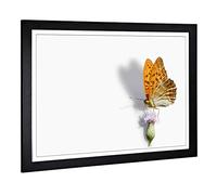 Big Box Art Framed Print of Butterfly and Thistle Design | Wall Art Picture | Home Decor for Kitchen, Living, Dining Room, Lounge, Bedroom, Hallway, Office, Black, A2 / 24.5x18 Inch / 62x45cm