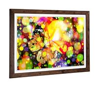 Big Box Art Framed Print of Butterfly Blurred Lights Design | Wall Art Picture | Home Decor for Kitchen, Living, Dining Room, Bedroom, Hallway, Office, Walnut, A2 / 24.5x18 Inch / 62x45cm