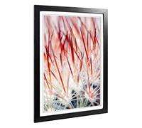 Big Box Art Framed Print of Cacti Cactus (2) Design | Wall Art Picture | Home Decor for Kitchen, Living, Dining Room, Lounge, Bedroom, Hallway, Office, Black, A2 / 24.5x18 Inch / 62x45cm