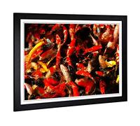 Big Box Art Framed Print of Carp Fish Design | Wall Art Picture | Home Decor for Kitchen, Living, Dining Room, Lounge, Bedroom, Hallway, Office, Black, A2 / 24.5x18 Inch / 62x45cm