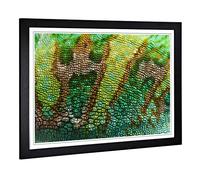 Big Box Art Framed Print of Chameleon Lizard Reptile (5) Design | Wall Art Picture | Home Decor for Kitchen, Living, Dining Room, Bedroom, Hallway, Office, Black, A2 / 24.5x18 Inch / 62x45cm