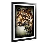 Big Box Art Framed Print of Cheetah 4 Design | Wall Art Picture | Home Decor for Kitchen, Living, Dining Room, Lounge, Bedroom, Hallway, Office, Black, A2 / 24.5x18 Inch / 62x45cm