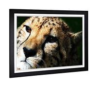 Big Box Art Framed Print of Cheetah 6 Design | Wall Art Picture | Home Decor for Kitchen, Living, Dining Room, Lounge, Bedroom, Hallway, Office, Black, A2 / 24.5x18 Inch / 62x45cm