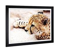 Big Box Art Framed Print of Cheetah 7 Design | Wall Art Picture | Home Decor for Kitchen, Living, Dining Room, Lounge, Bedroom, Hallway, Office, Black, A2 / 24.5x18 Inch / 62x45cm