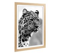 Big Box Art Framed Print of Cheetah 8 Design | Wall Art Picture | Home Decor for Kitchen, Living, Dining Room, Lounge, Bedroom, Hallway, Office, Oak, A2 / 24.5x18 Inch / 62x45cm