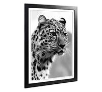 Big Box Art Framed Print of Cheetah 8 Design | Wall Art Picture | Home Decor for Kitchen, Living, Dining Room, Lounge, Bedroom, Hallway, Office, Black, A2 / 24.5x18 Inch / 62x45cm