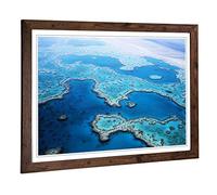 Big Box Art Framed Print of Coral Barrier Reef 3 Design | Wall Art Picture | Home Decor for Kitchen, Living, Dining Room, Bedroom, Hallway, Office, Walnut, A2 / 24.5x18 Inch / 62x45cm