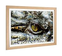 Big Box Art Framed Print of Crocodile Eye (1) Design | Wall Art Picture | Home Decor for Kitchen, Living, Dining Room, Lounge, Bedroom, Hallway, Office, Oak, A2 / 24.5x18 Inch / 62x45cm