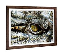 Big Box Art Framed Print of Crocodile Eye (1) Design | Wall Art Picture | Home Decor for Kitchen, Living, Dining Room, Lounge, Bedroom, Hallway, Office, Walnut, A2 / 24.5x18 Inch / 62x45cm