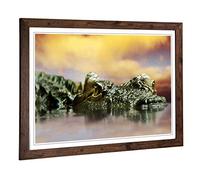 Big Box Art Framed Print of Crocodile Eye (2) Design | Wall Art Picture | Home Decor for Kitchen, Living, Dining Room, Lounge, Bedroom, Hallway, Office, Walnut, A2 / 24.5x18 Inch / 62x45cm